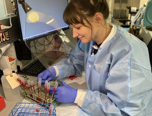 Immunohematology Caregiver Has Teaching in Her Blood